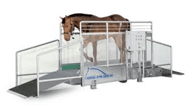 Hovedbilde T2 Tredemølle Horsegym-2000