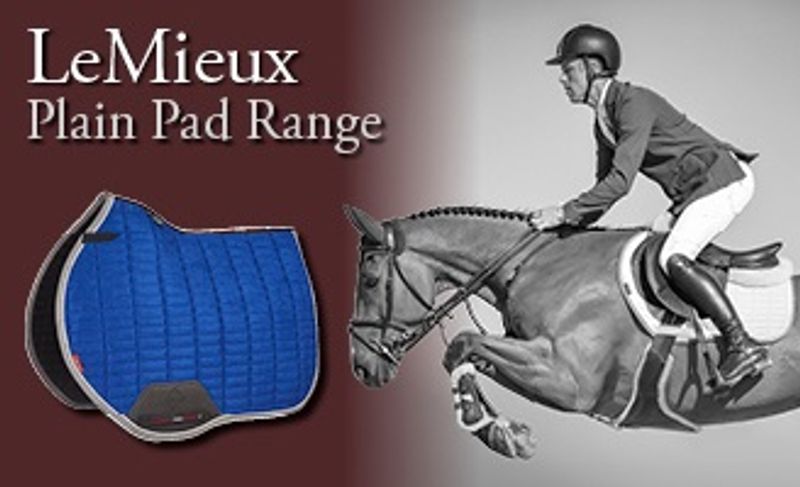 Lemieux ProSport Suede EuroJump Square Benetton Blue