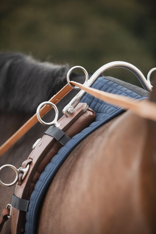 LONGERING OG TOMKJØRINGSGJORD LIPPO