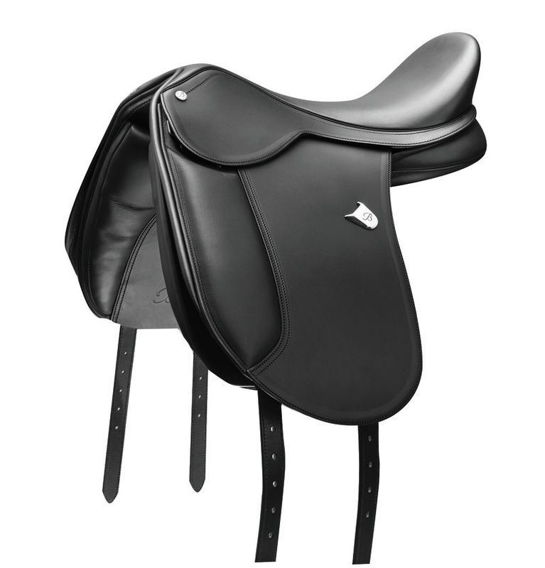 Bates Pony Dressage