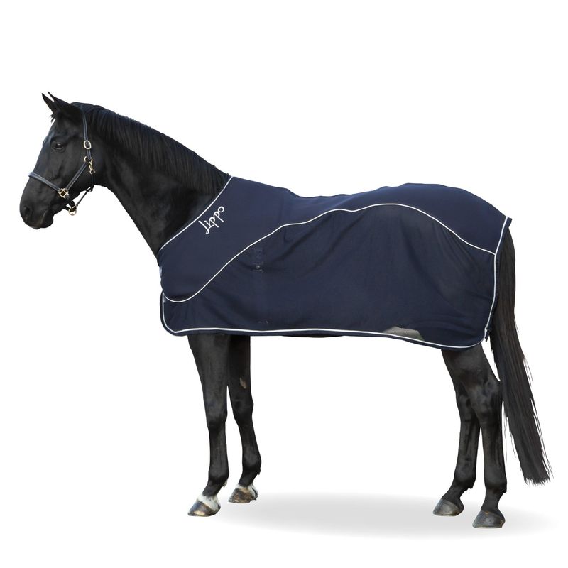 AIR COOLER DEKKEN LIPPO