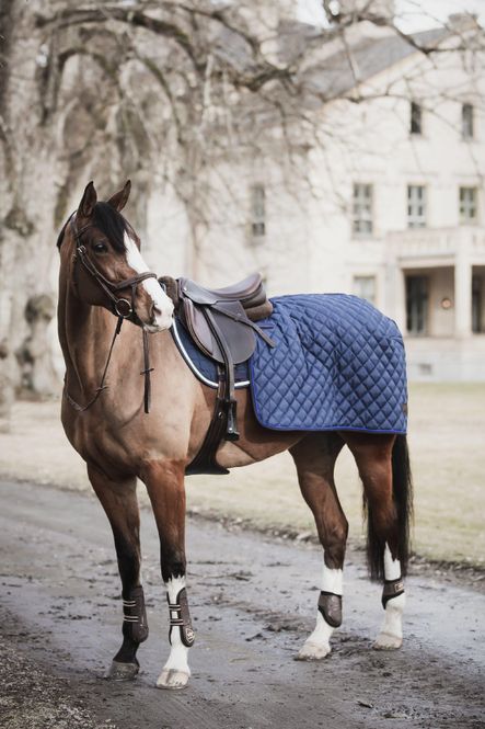 Hovedbilde RIDEDEKKEN LIPPO QUARTER