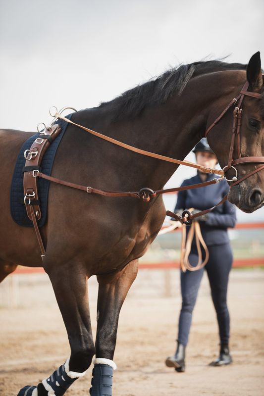 LONGERING OG TOMKJØRINGSGJORD LIPPO