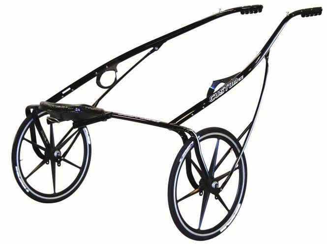 Hovedbilde Custom Multicarbon III