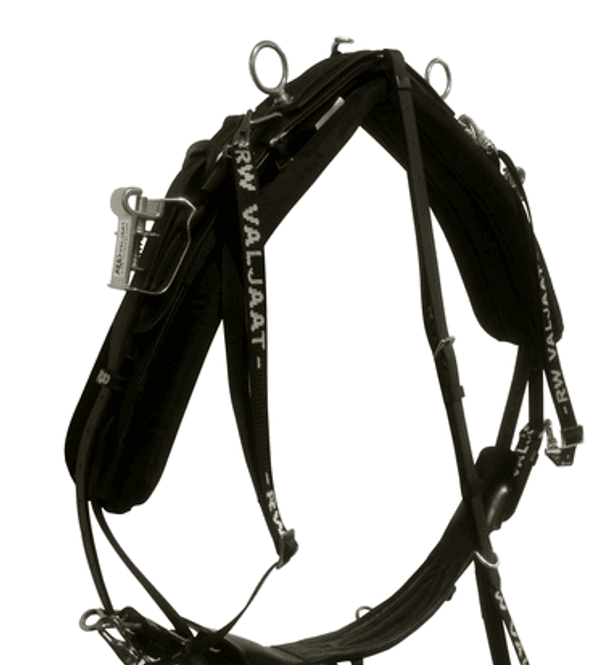 Hovedbilde RW Syntetsele QH