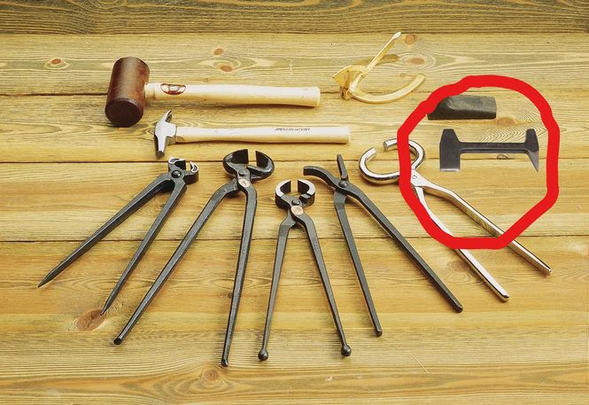 Hovedbilde Nitklinge økonomi