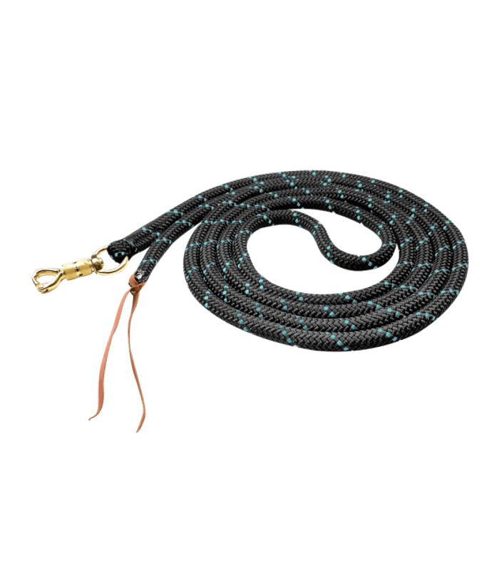 Horsemanship tau 4,2m