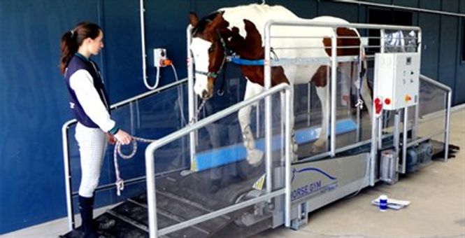 Hovedbilde T2 Tredemølle Horsegym-2000