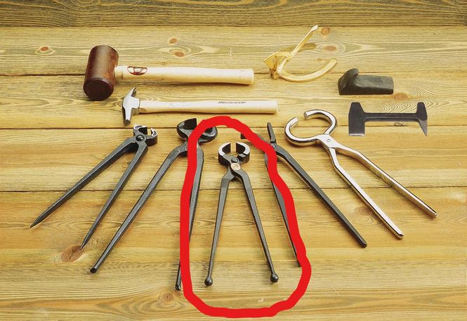 Hovedbilde Brekktang Anvil Brand