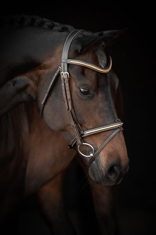 TRÄNS LIPPO SUPREME