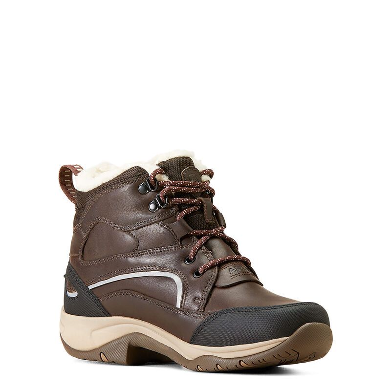 Ariat Telluride Waterproof Insulated Boot